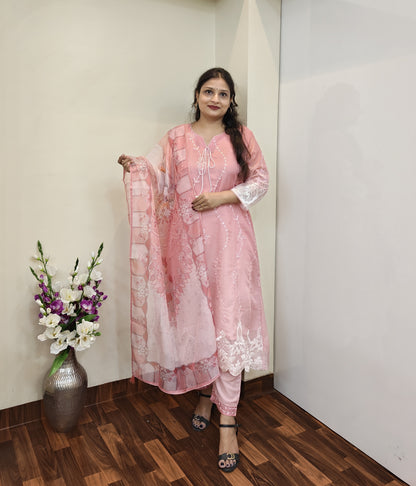 Anaya Organza Straight Suit Set