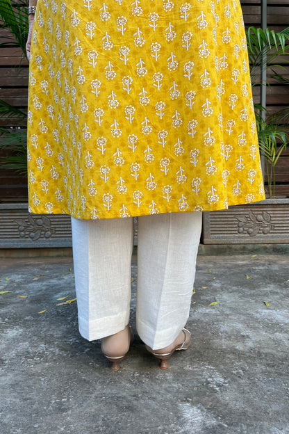 Ashlesha Cotton Pant